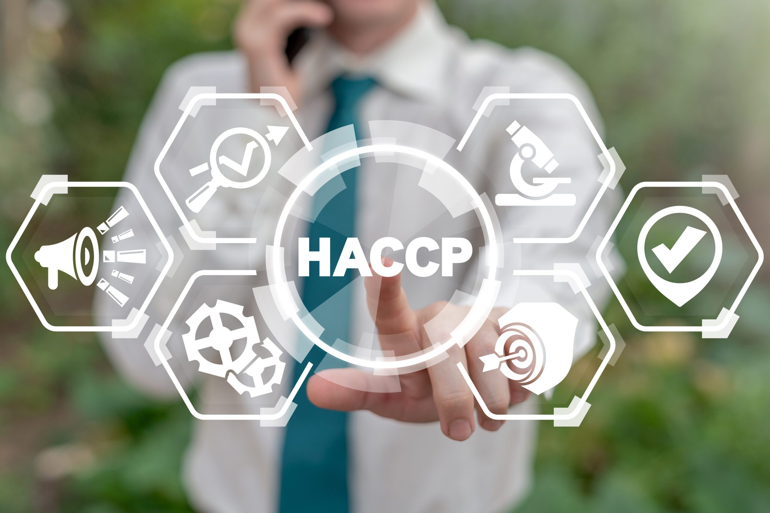 HACCP figure