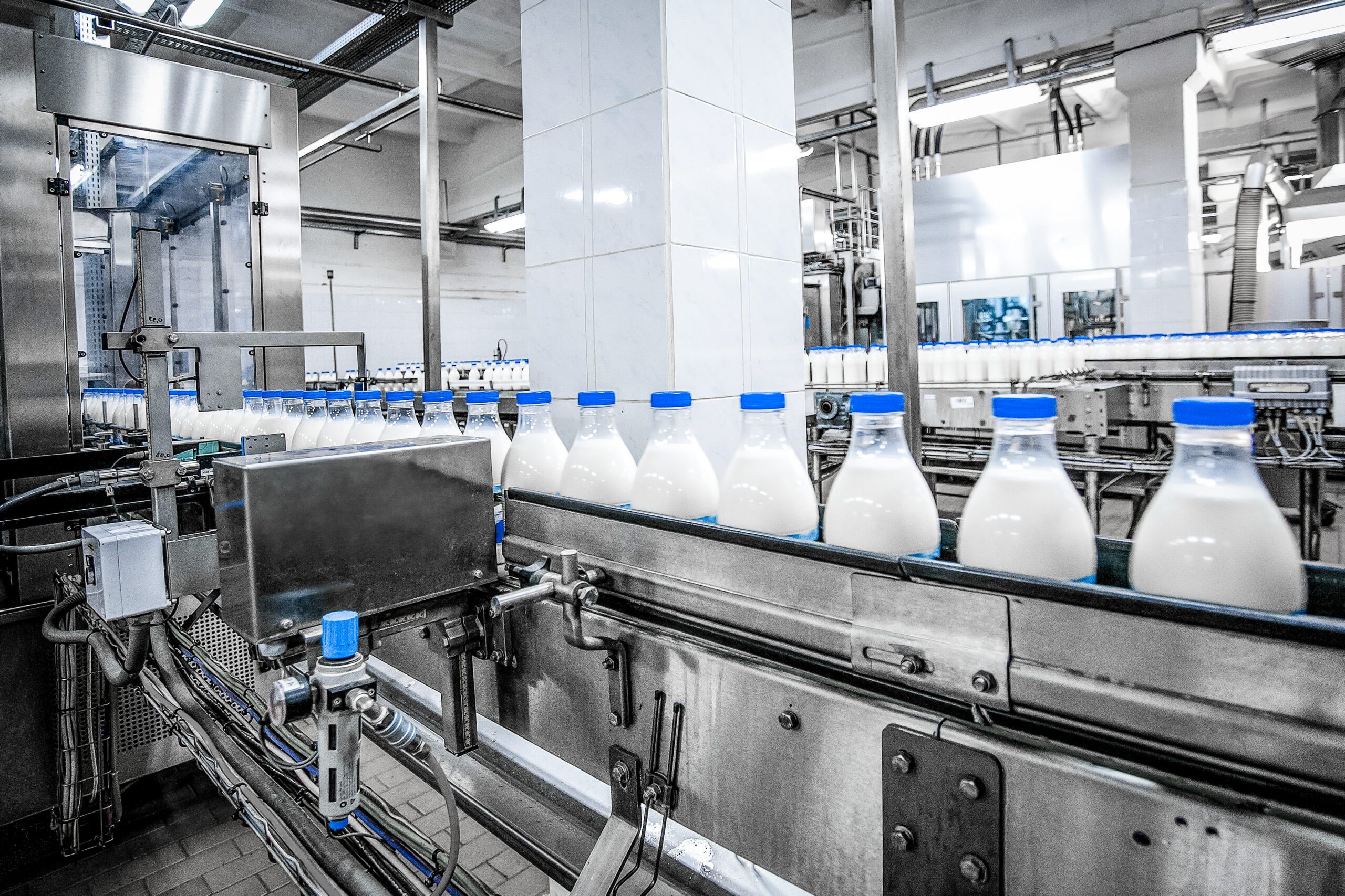 Milk production assembly line